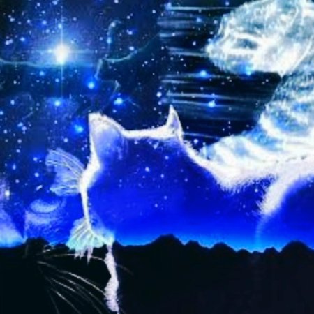 Коты Воители Звёздное племя