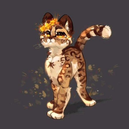 Коты Воители Оцелотка