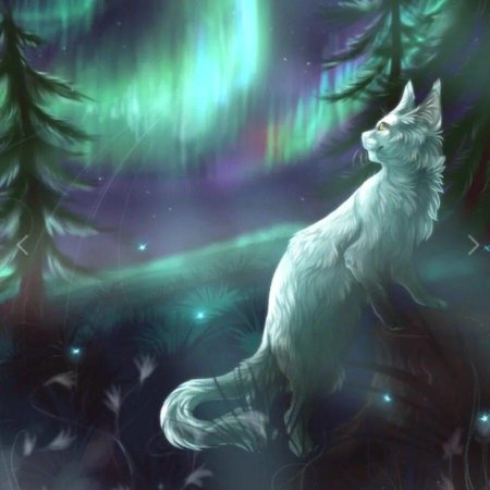 Коты Воители Северное племя