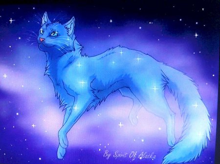 Коты Воители синяя звезда