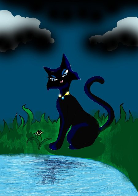 Коты Воители ночная звезда