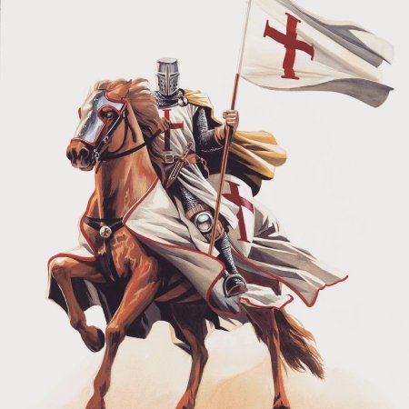 Крестоносцы тамплиеры