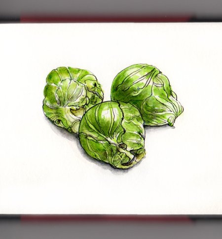 Брюссельская капуста акварель