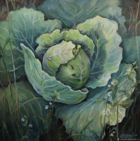 Репин капуста Этюд