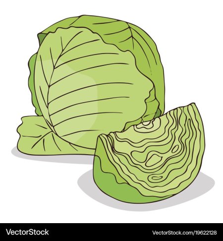 Ребенок в капусте