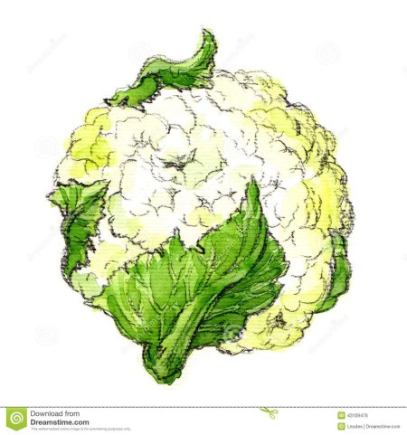 Стилизованная цветная капуста