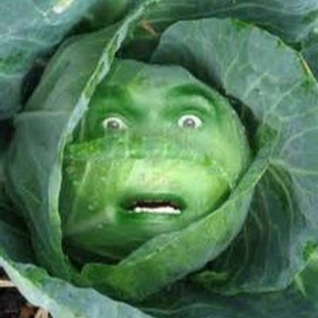 Смешная капуста
