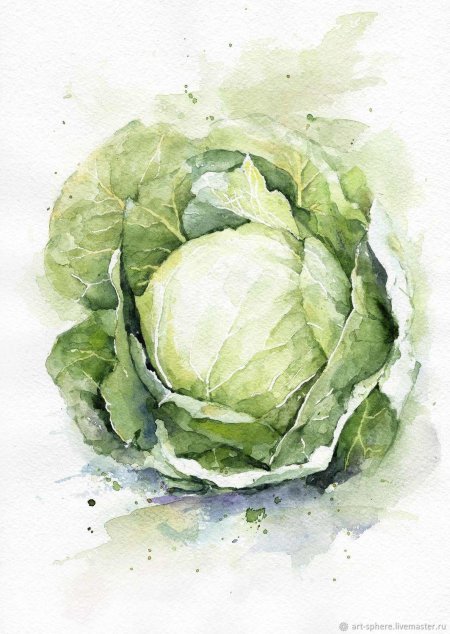 Овощи акварелью