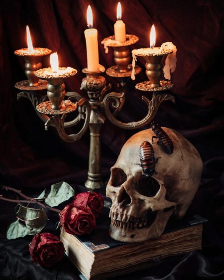 Натюрморт с черепом