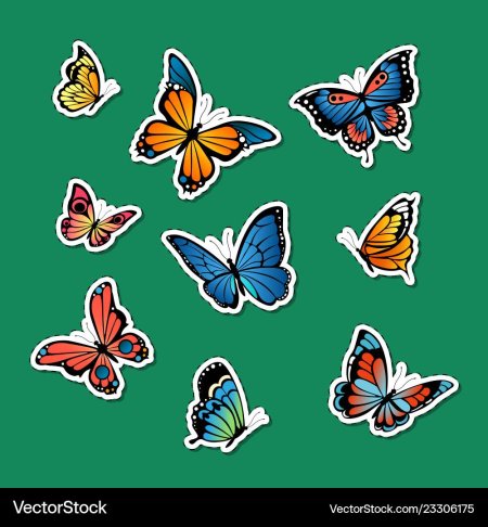 Бабочка цвет покрасить