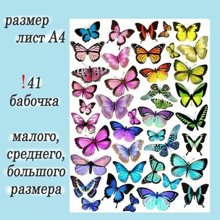 Торт «бабочки»