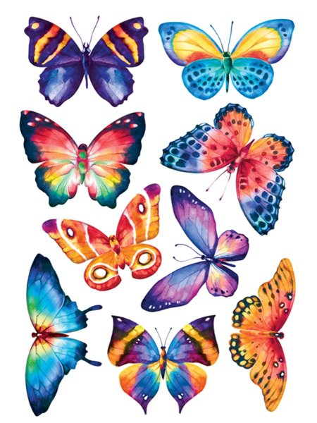 Бабочки цветные