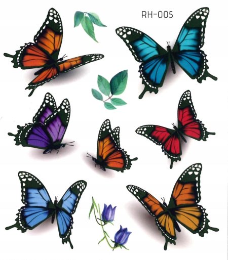 Бабочки с Шейн логотип