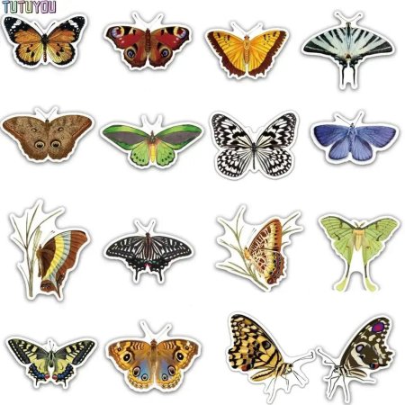 Наклейка бабочка