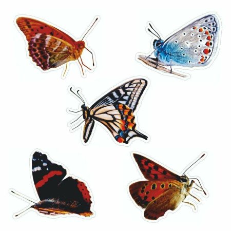 Наклейка бабочка большая
