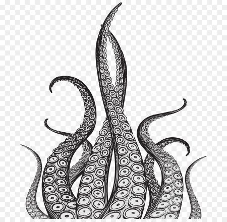 Щупальца Кракена вектор