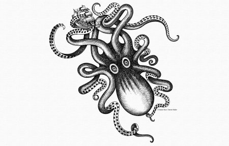 Головоногий моллюск Кракен