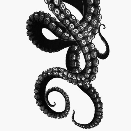 Осьминог Кракен