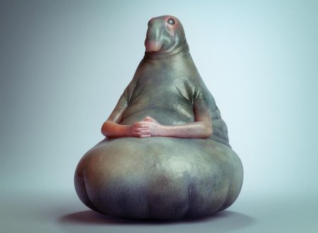 Ждун Мона Лиза