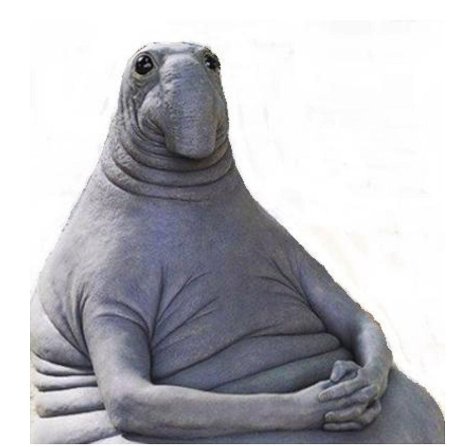 Homunculus Loxodontus