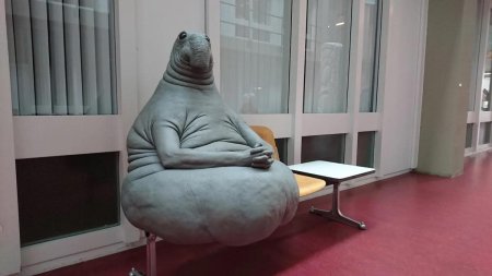 Ламантин Ждун