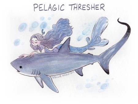 Акула рисунок