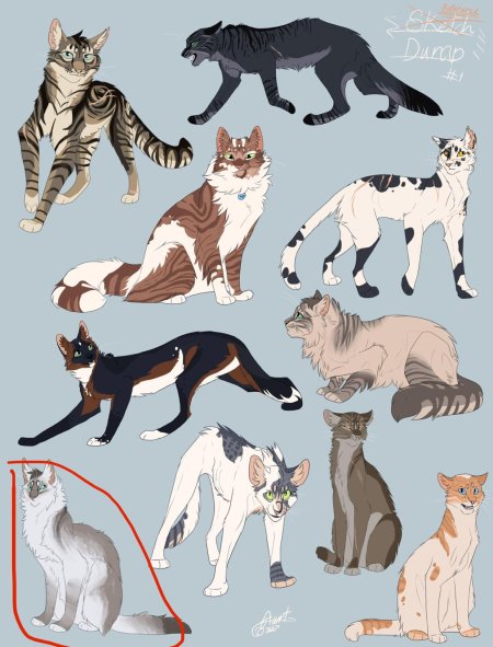 Рефференсы персонажей коты Воители