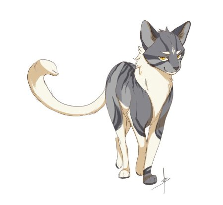 Коты Воители арт референс