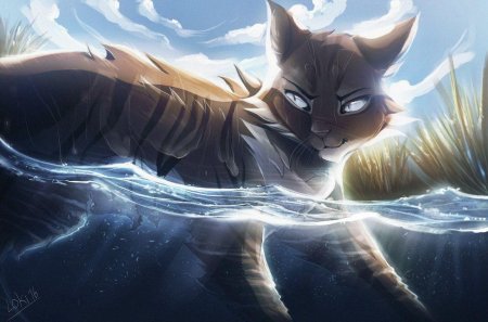 Hawkfrost коты Воители