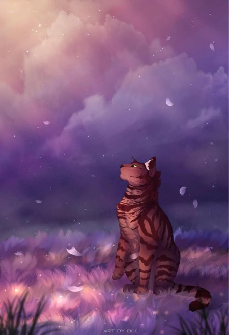 Коты Воители Звёздное племя