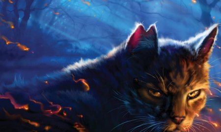 Коты Воители Звездоцап