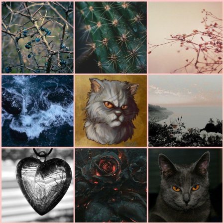 Коты Воители Эстетика