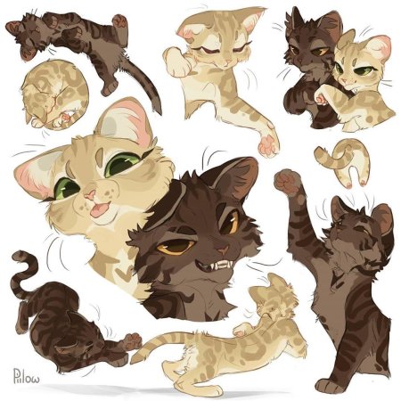 GRAYPILLOW коты Воители