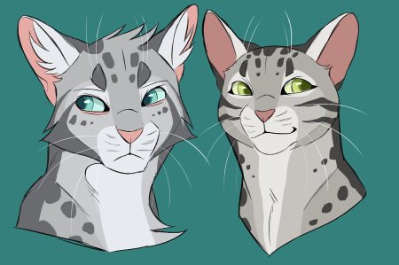 Коты Воители референс