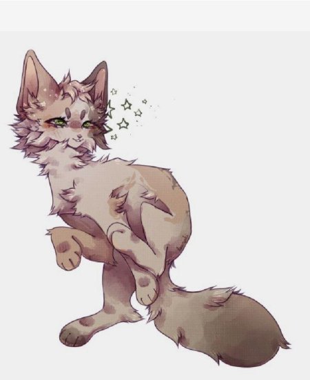 Коты Воители референс