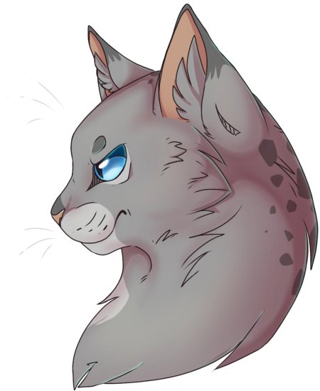 Коты Воители уголёк арт