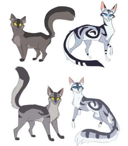 Коты Воители референс