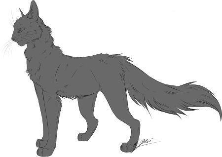 Коты Воители фрилайны