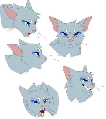 Коты Воители позы референс