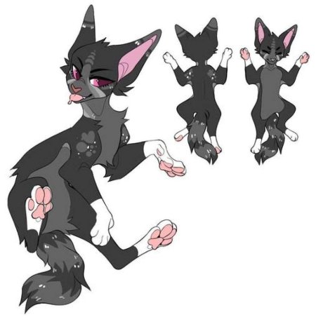 Амино адопты коты Воители