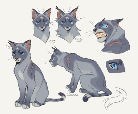 OWLSPARK коты Воители