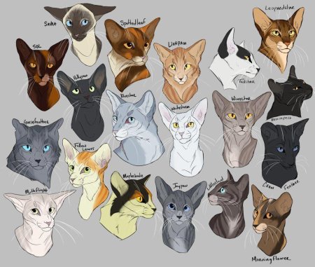 CLIMBTOTHESTARS коты Воители