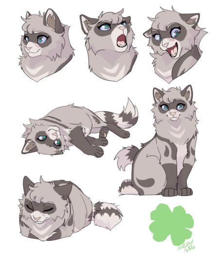 Коты Воители референс