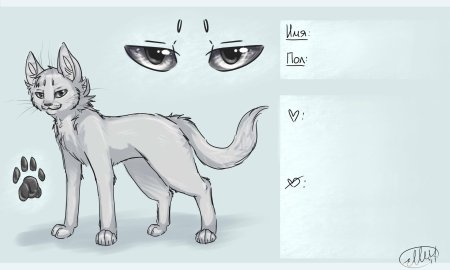 Коты Воители референс лайн