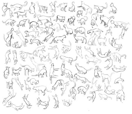 Коты Воители позы референс