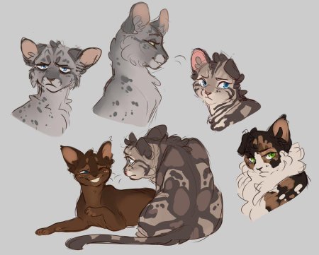 Коты Воители референс