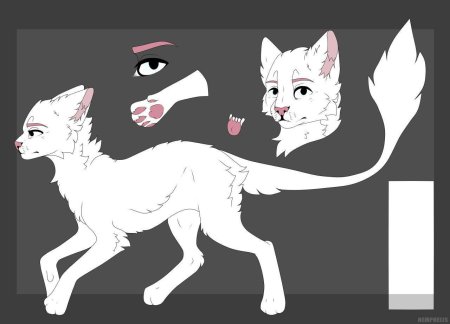 Коты Воители референс лайн