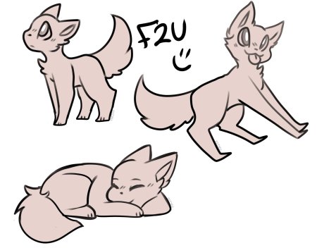 Коты воителиреыеренс позы