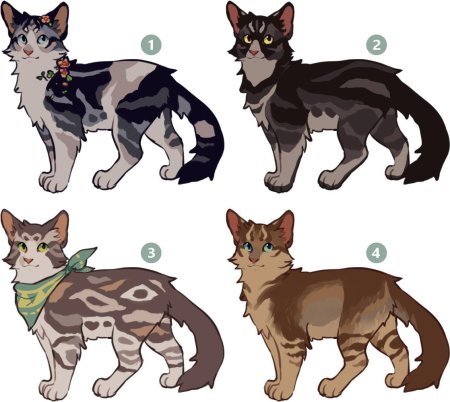 Коты Воители адопты