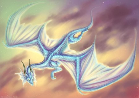 Воздушный дракон